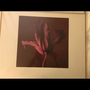 IKEA Trilling set of 3 prints